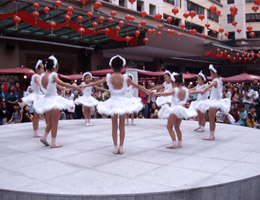 Ballet Performance